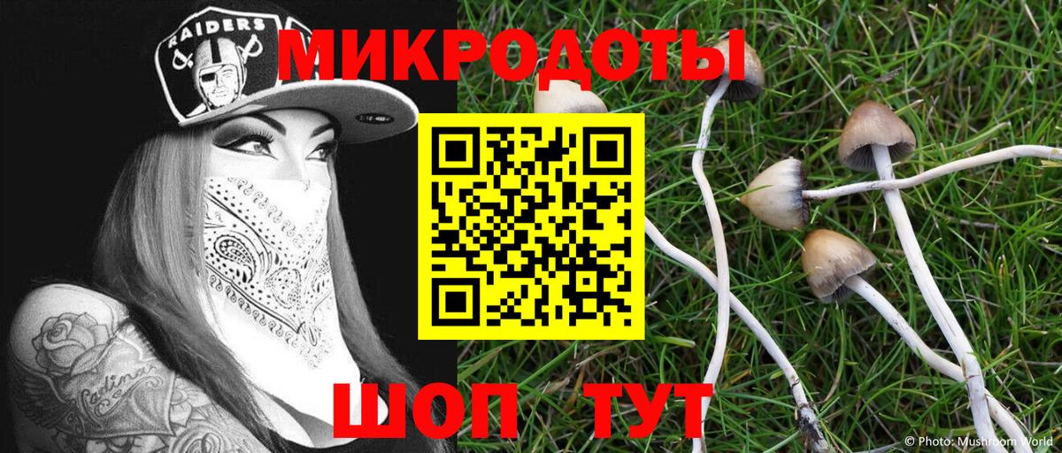 Галлюциногенные грибы MAGIC MUSHROOMS  Вход с VPN  Татарск  цены   Псилоцибиновые грибы Psilocybine cubensis 