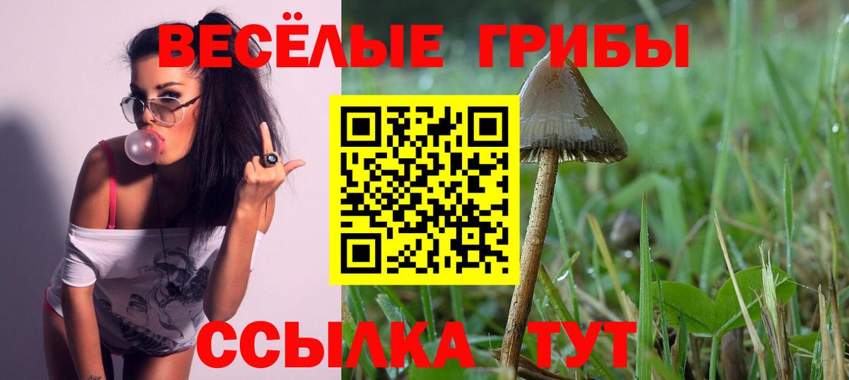 Галлюциногенные грибы Magic Shrooms Татарск